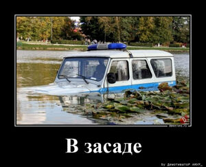 Демотиваторы-приколы: «В засаде» (13 фото)