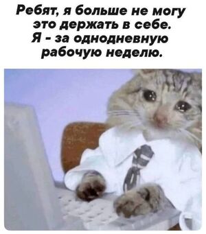 Свежая порция убойных мемов и картинок с надписями!