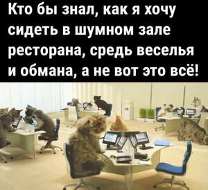 Зарядись позитивом! Лучшие мемы и комментарии из сети уже здесь!