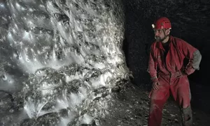 Крупнейшая в мире паутина с более чем 111 000 пауков обнаружена в европейской пещере