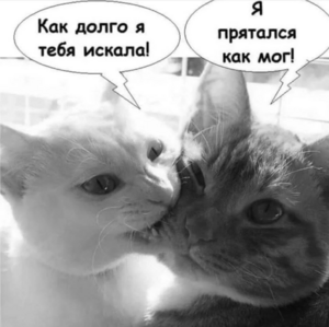 Субботнее утро с улыбкой: Ваш заряд позитива!