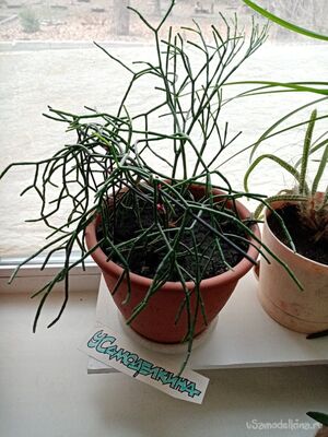 Самоделки выходного дня. Заборчик для цветов