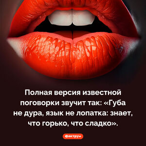 Губа не дура