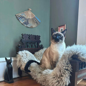 Сокровища среди пыли: невероятные находки из секонд-хендов (19 фото)