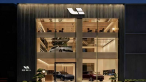 Продажи EREV в Китае падают: электромобили с большим запасом хода вытесняют гибриды