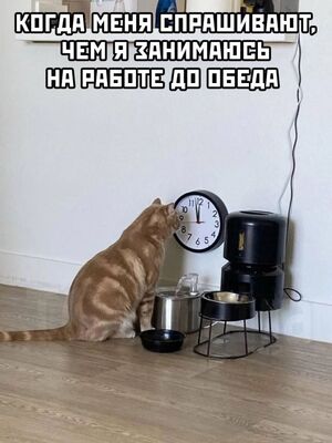 Маленькая пятница: заряжаемся позитивом и смехом!