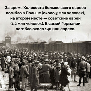 Где погибло больше всего евреев во время Холокоста