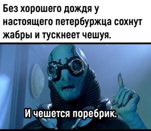 Утренний заряд позитива: Мемы, которые разбудят вашу улыбку!