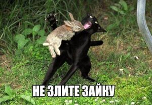 Доброе утро! Время для порции свежего юмора!