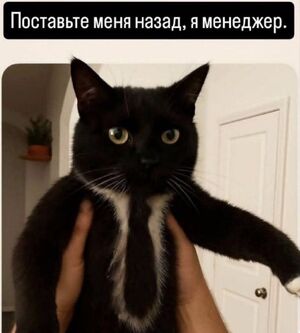 Пятничные мемы подъехали! Готовьтесь смеяться!