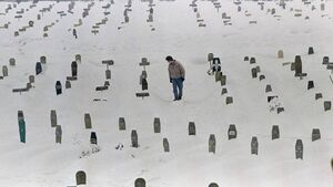 Человеческое сафари в Сараево