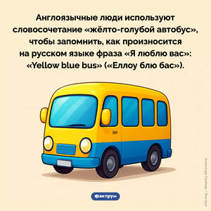 Еллоу блю бас