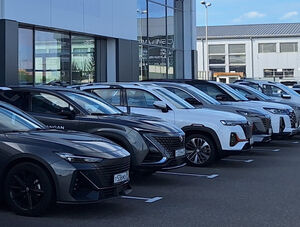 В первой половине ноября цены на автомобили изменились у 12 брендов