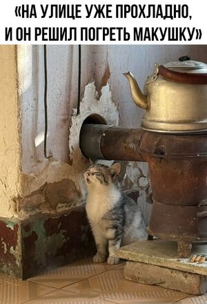 Начинаем неделю с улыбки!