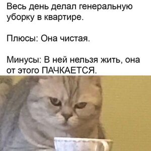 Улыбнитесь с самого утра! Большой сборник мемов и комментариев из соцсетей для отличного настроения!