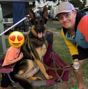 Владелец арестован после гибели овчарки Арни в пикапе: полиция раскрыла детали