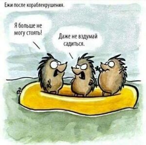 Ура, выходные! Готовьтесь к взрыву позитива!