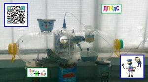 ДПКдС (Доработанная панорамная кормушка для синиц)