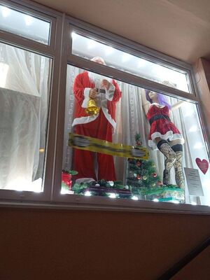 Горячая «Снегурочка» в витрине интим-магазина разожгла споры