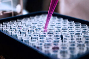 В России стартует клиническое применение нового отечественного препарата для лечения рака