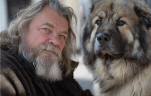 Почему собаки так часто бывают похожи на своих хозяев