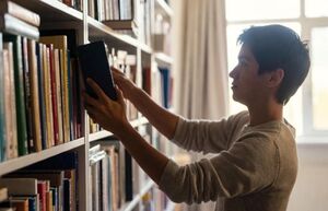 Зачем люди собирают дома книги, которые потом не читают: Что такое феномен «цундоку»