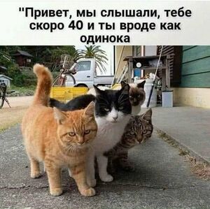 Доброе утро! ☀️ Хотите начать день с улыбки? Тогда вам сюда!