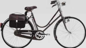 Уникальный велосипед Guccissima: роскошь на двух колесах за 40 тысяч долларов