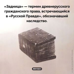 Задница и наследство