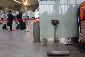 Суд окончательно закрепил Домодедово за государством: кассация не изменила решение