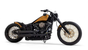 Harley-Davidson Golden Phantom: кастом с огромным передним колесом удивляет фанатов