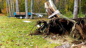 Как выкорчевать пень с минимальными усилиями