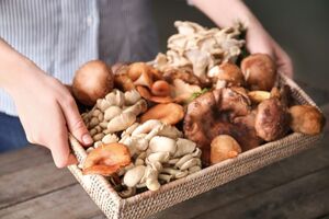 Революция в питании: грибы готовы заменить мясо на мировом уровне