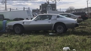 Редкий Pontiac Firebird Trans Am 1976 года продается без описания и подробностей