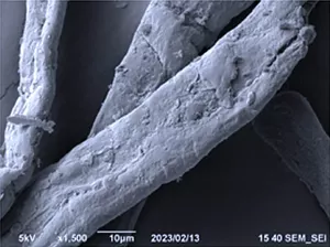 В России придумали как получить воду из воздуха с помощью композита