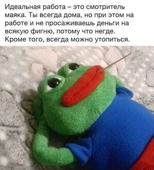 Пятница уже близко! Ловите порцию позитива для середины недели!