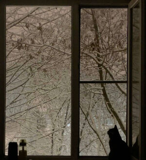 Необыкновенная атмосфера русской зимы: подборка эстетичных фото самого волшебного времени года