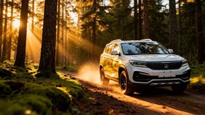 Минпром Беларуси не подтвердил запуск бренда ZUBR: слухи оказались преждевременными