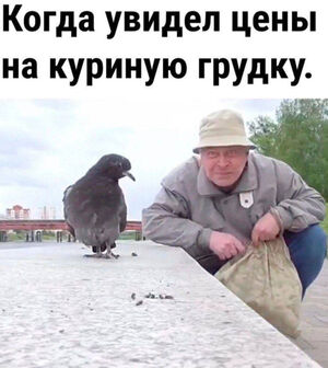 Мемы для взрослых о жизни и не только