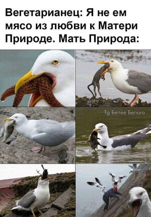 Новый понедельник – новые шутки!