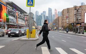 Столичная ГИБДД устроит массовую проверку на пешеходных переходах