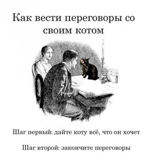 Доброе утро! Хотите начать день с улыбки?