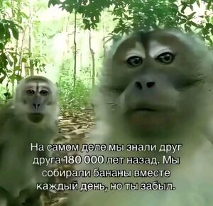 Маленькая пятница– большой позитив!