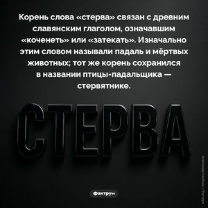 Происхождение слова «стерва»
