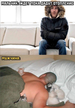 Конец недели – время для улыбок! Готовы к порции позитива?