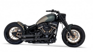 Harley-Davidson Street Belongs to Me: кастом, который заставит уступить дорогу