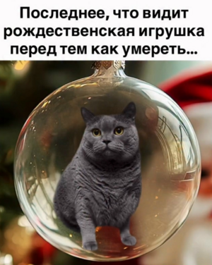 Ура, выходные! 