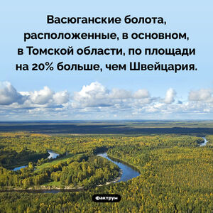 Васюганские болота больше Швейцарии