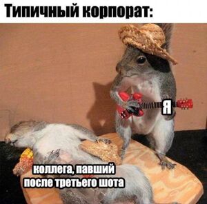 Самый свежий сборник смешных картинок и мемов для вашего настроения!