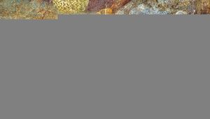 Хлеб в Древнем Риме